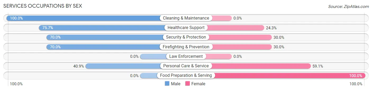 Services Occupations by Sex in Lebanon South