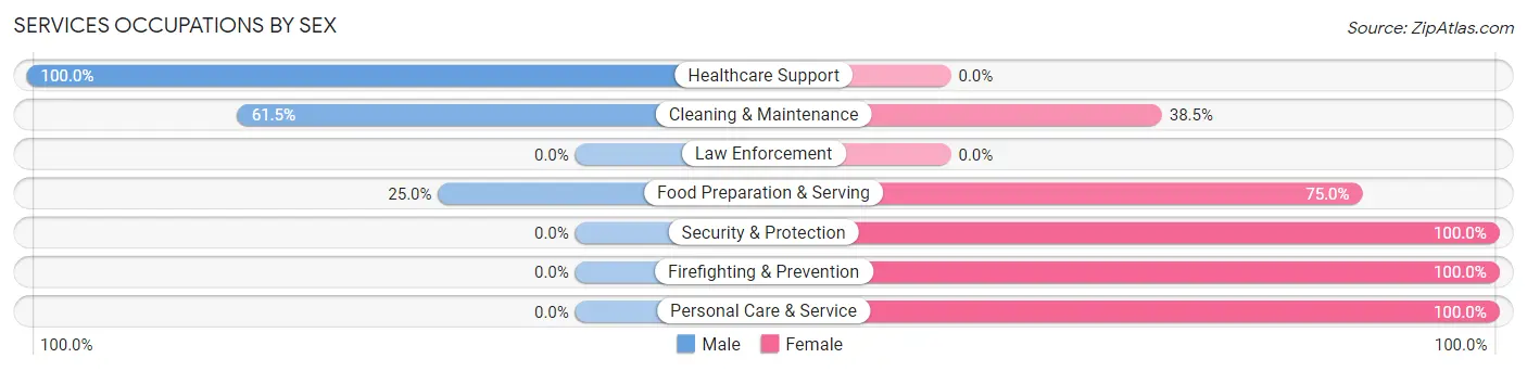 Services Occupations by Sex in Lehighton borough