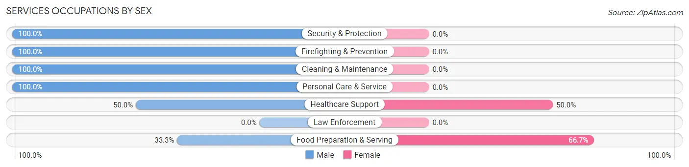 Services Occupations by Sex in Lenhartsville borough
