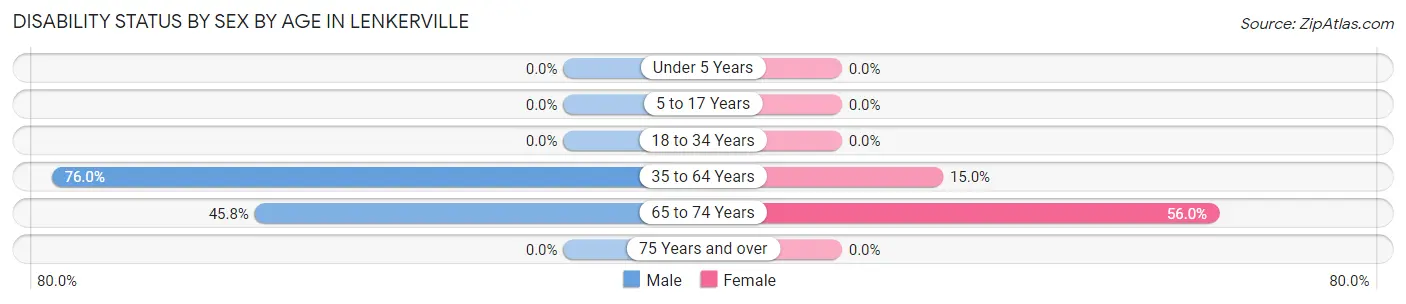 Disability Status by Sex by Age in Lenkerville