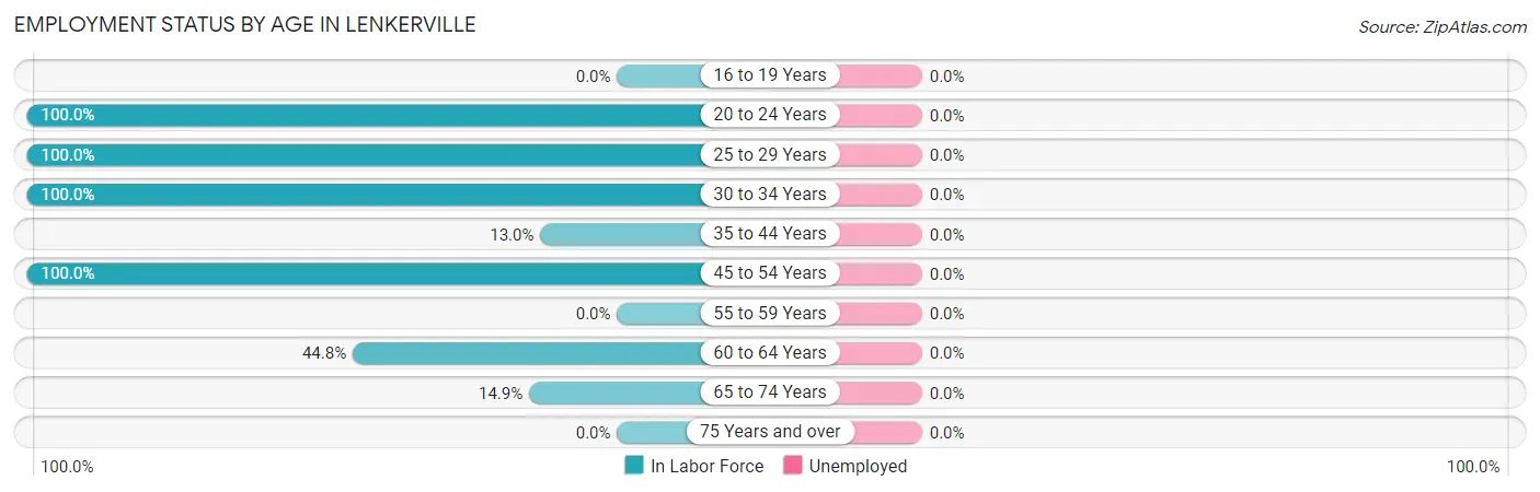 Employment Status by Age in Lenkerville