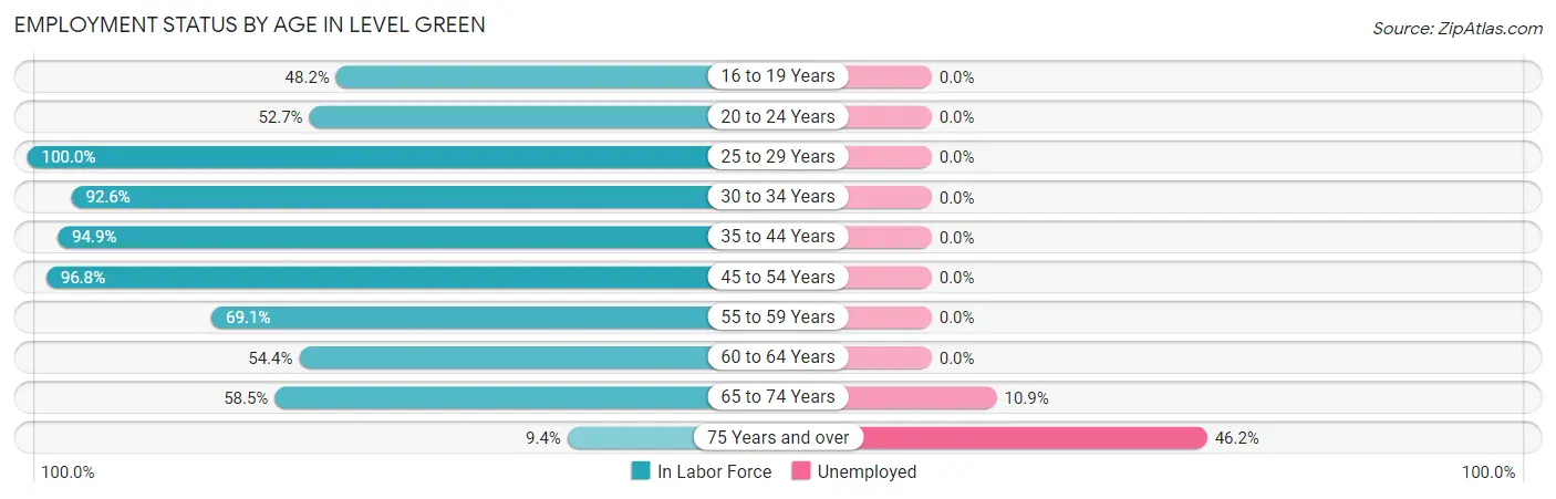 Employment Status by Age in Level Green