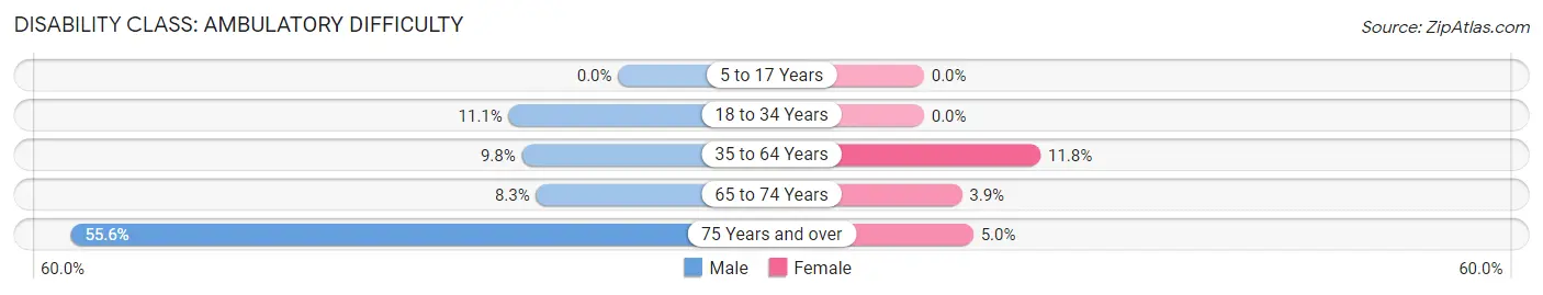 Disability in Lewisberry borough: <span>Ambulatory Difficulty</span>