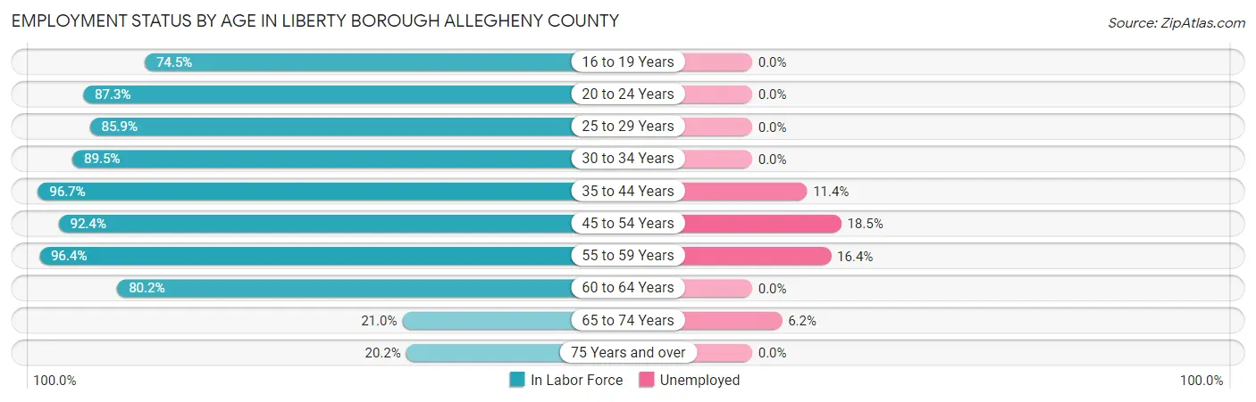 Employment Status by Age in Liberty borough Allegheny County