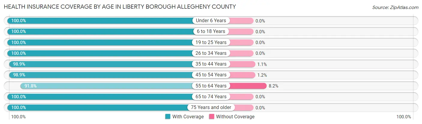 Health Insurance Coverage by Age in Liberty borough Allegheny County