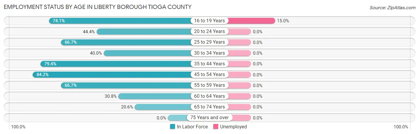 Employment Status by Age in Liberty borough Tioga County