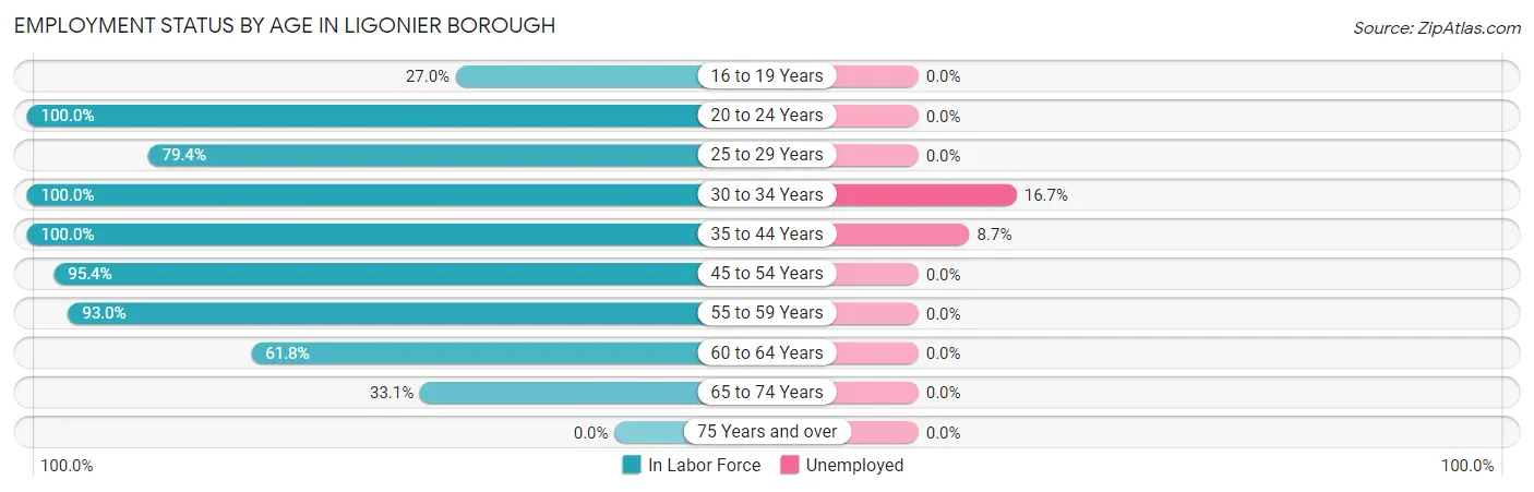 Employment Status by Age in Ligonier borough