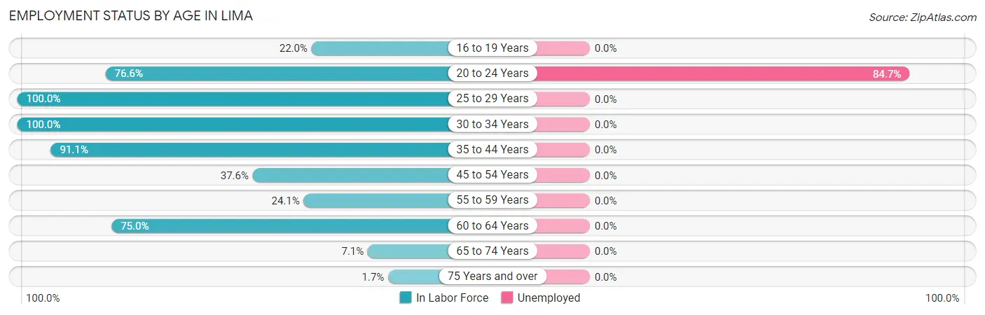 Employment Status by Age in Lima