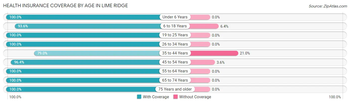 Health Insurance Coverage by Age in Lime Ridge
