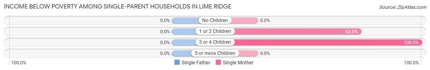 Income Below Poverty Among Single-Parent Households in Lime Ridge