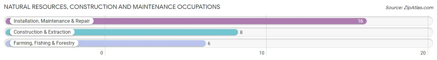 Natural Resources, Construction and Maintenance Occupations in Lime Ridge