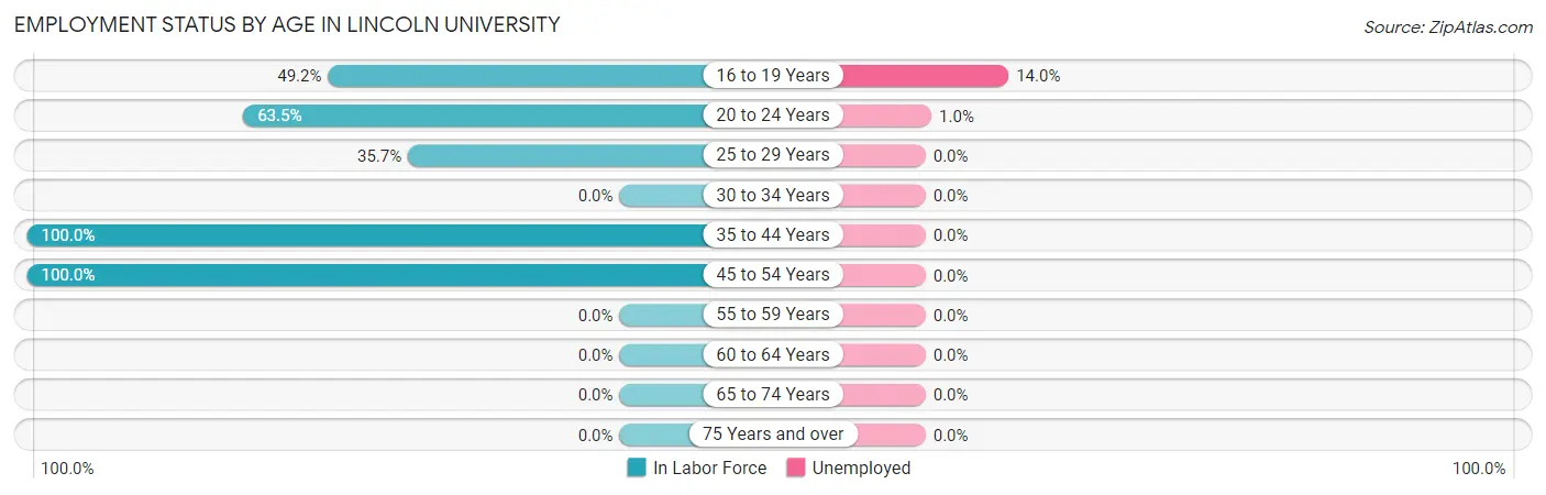 Employment Status by Age in Lincoln University