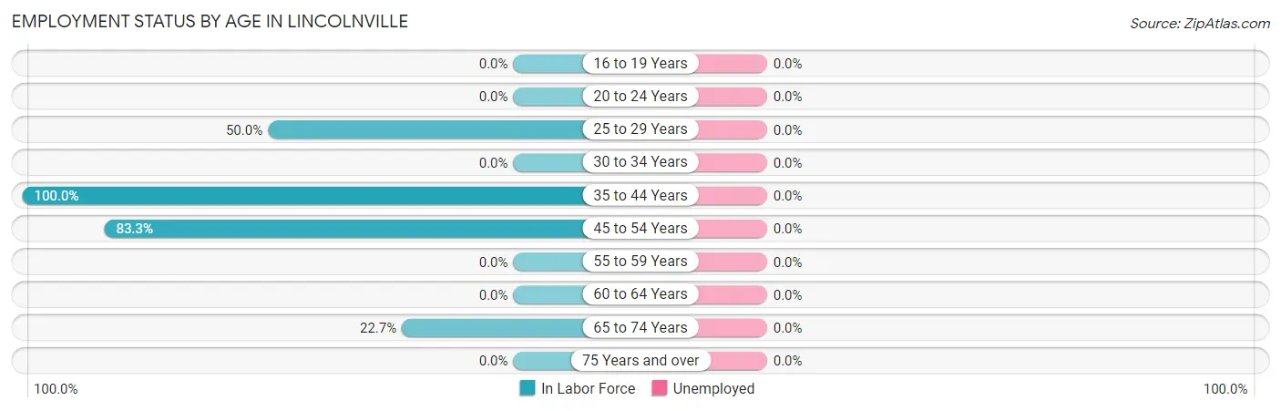 Employment Status by Age in Lincolnville