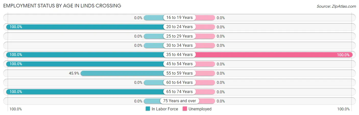 Employment Status by Age in Linds Crossing