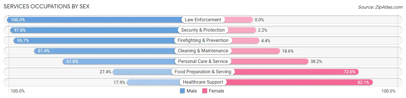 Services Occupations by Sex in Lionville
