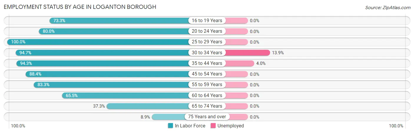Employment Status by Age in Loganton borough