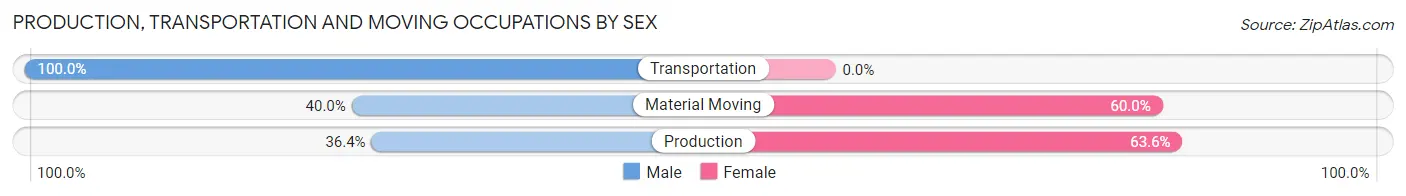 Production, Transportation and Moving Occupations by Sex in Loganton borough