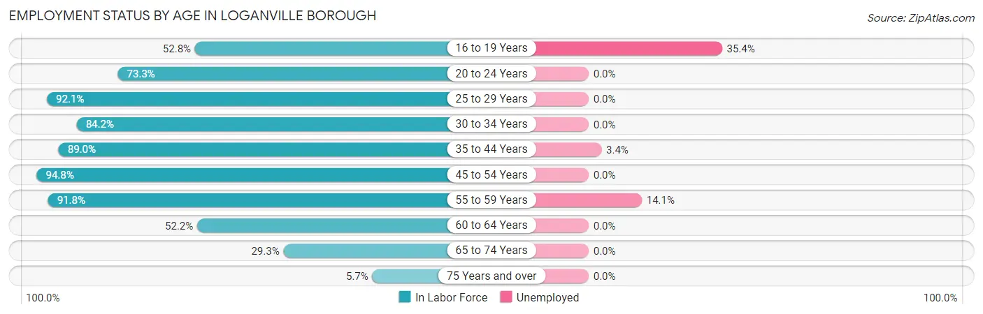 Employment Status by Age in Loganville borough