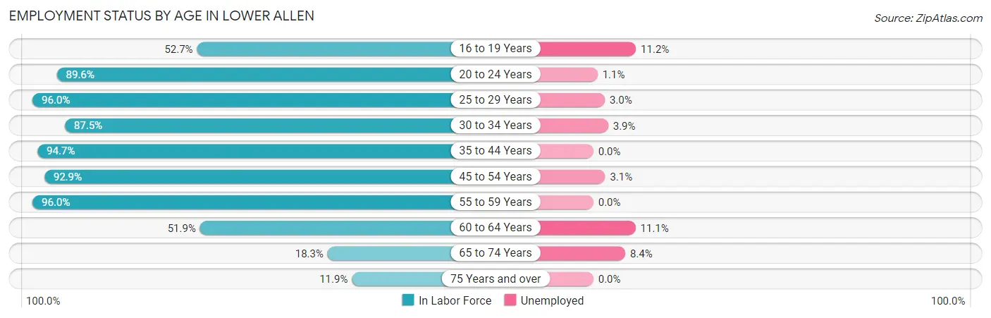 Employment Status by Age in Lower Allen