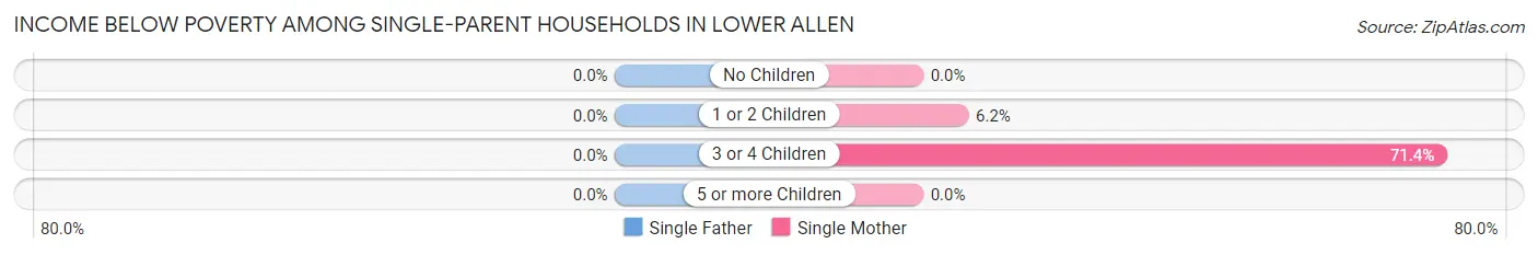 Income Below Poverty Among Single-Parent Households in Lower Allen
