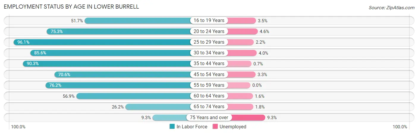Employment Status by Age in Lower Burrell