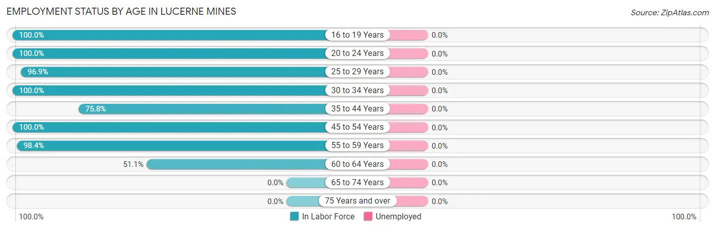 Employment Status by Age in Lucerne Mines