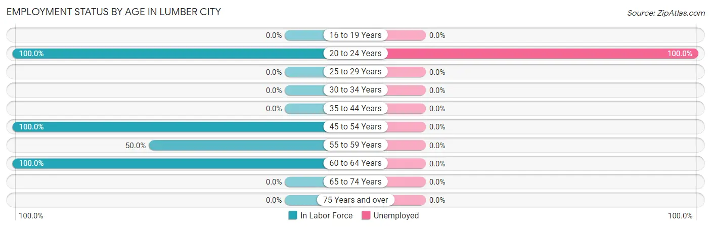 Employment Status by Age in Lumber City