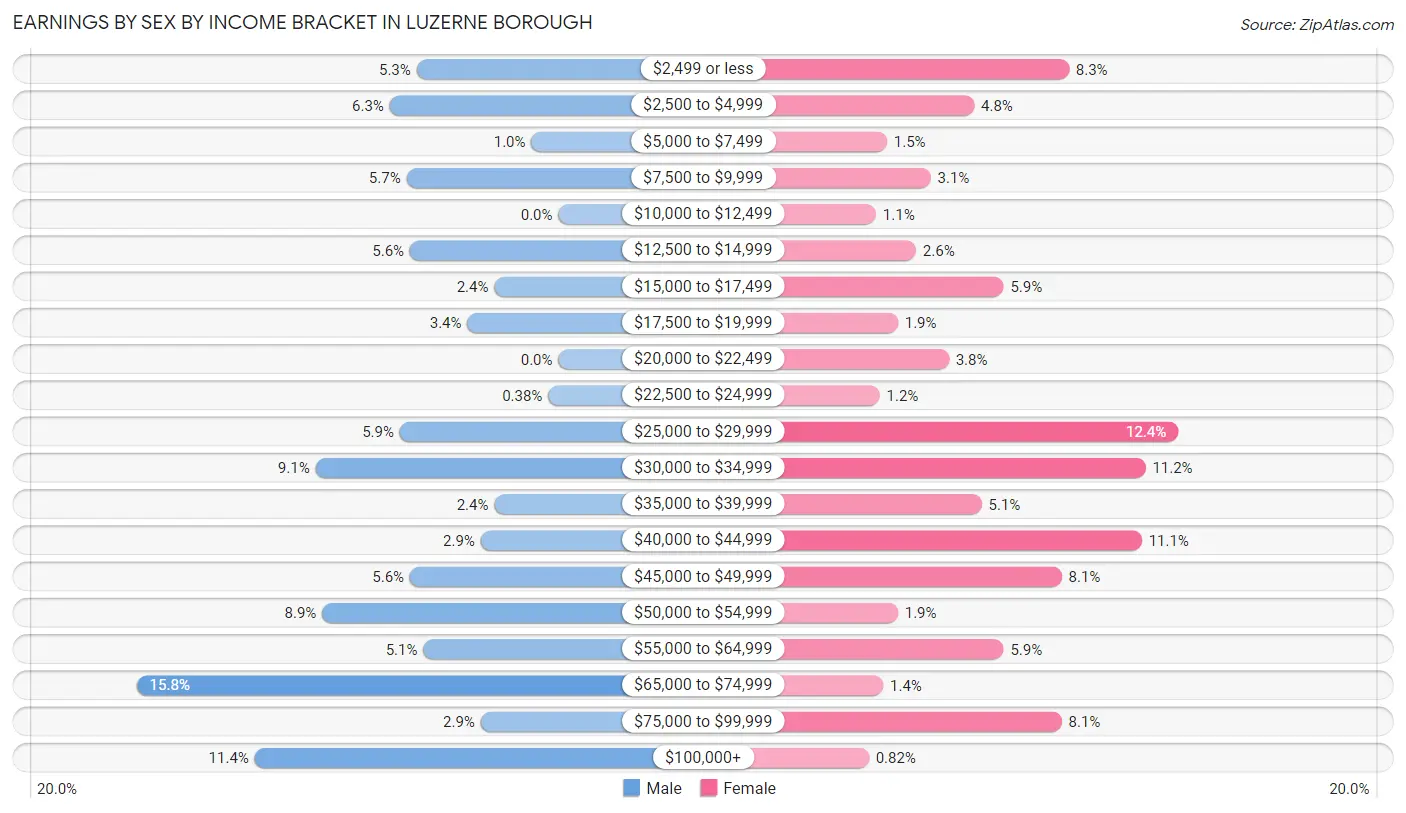 Earnings by Sex by Income Bracket in Luzerne borough
