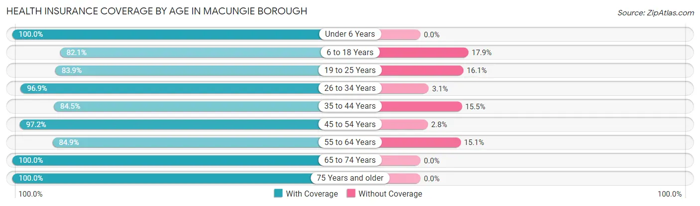 Health Insurance Coverage by Age in Macungie borough