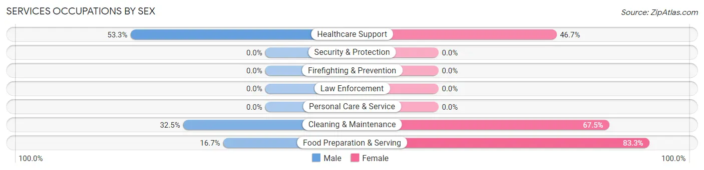 Services Occupations by Sex in Macungie borough