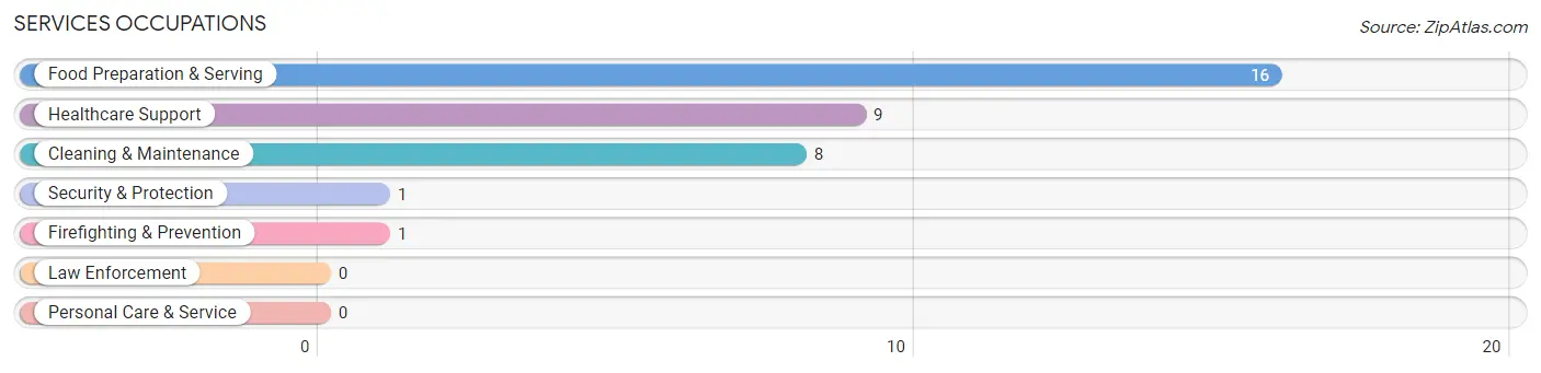 Services Occupations in Mahaffey borough