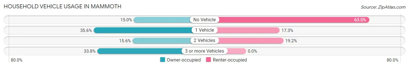 Household Vehicle Usage in Mammoth