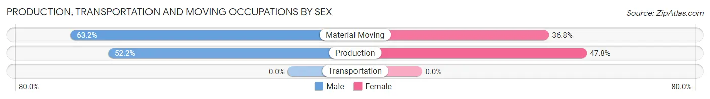 Production, Transportation and Moving Occupations by Sex in Mammoth