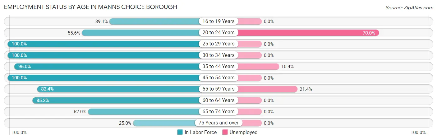 Employment Status by Age in Manns Choice borough