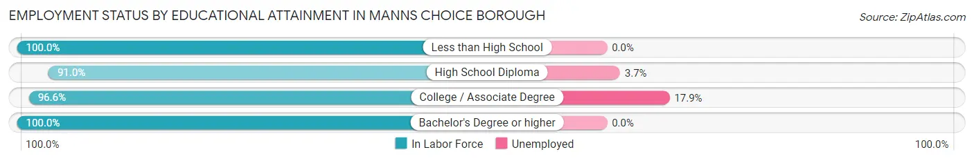 Employment Status by Educational Attainment in Manns Choice borough