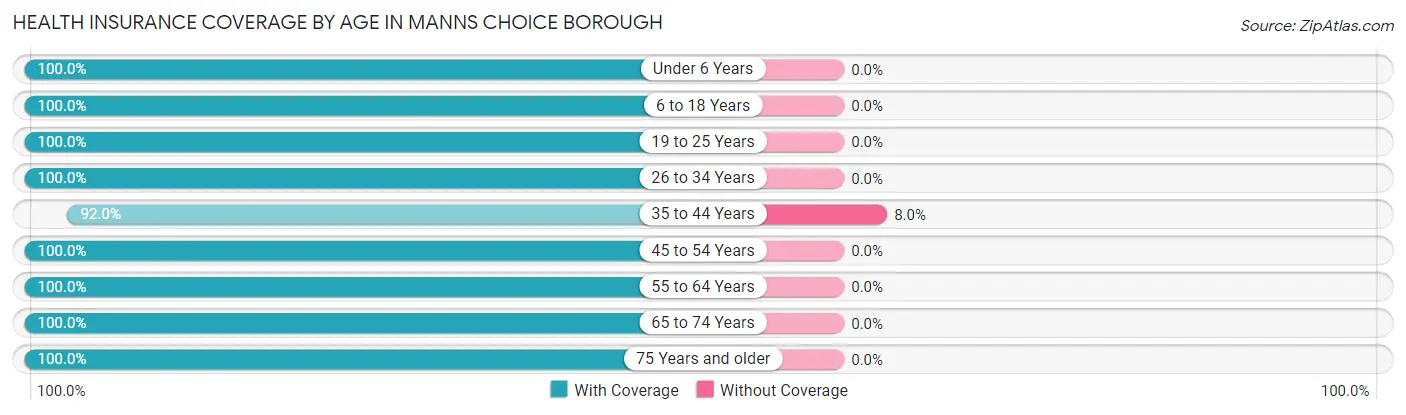 Health Insurance Coverage by Age in Manns Choice borough