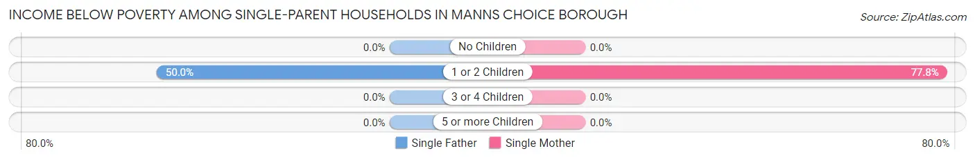 Income Below Poverty Among Single-Parent Households in Manns Choice borough