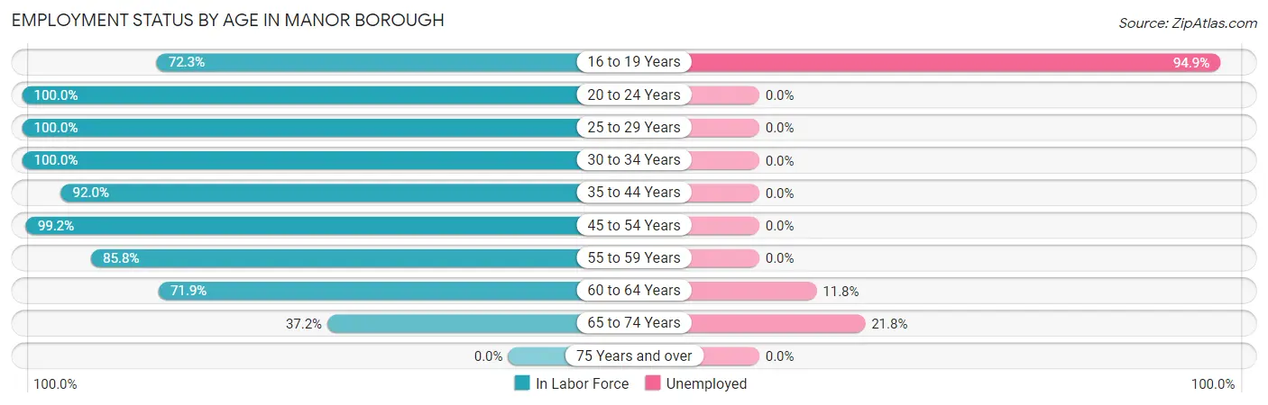 Employment Status by Age in Manor borough
