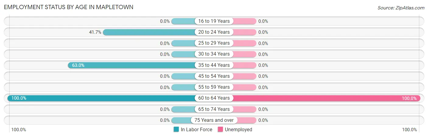 Employment Status by Age in Mapletown