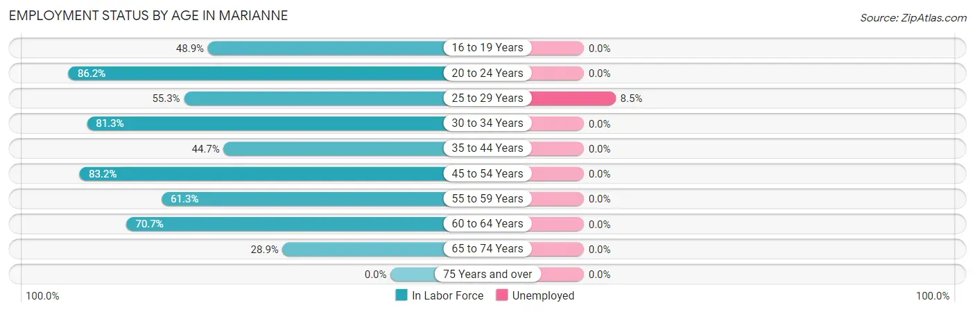 Employment Status by Age in Marianne
