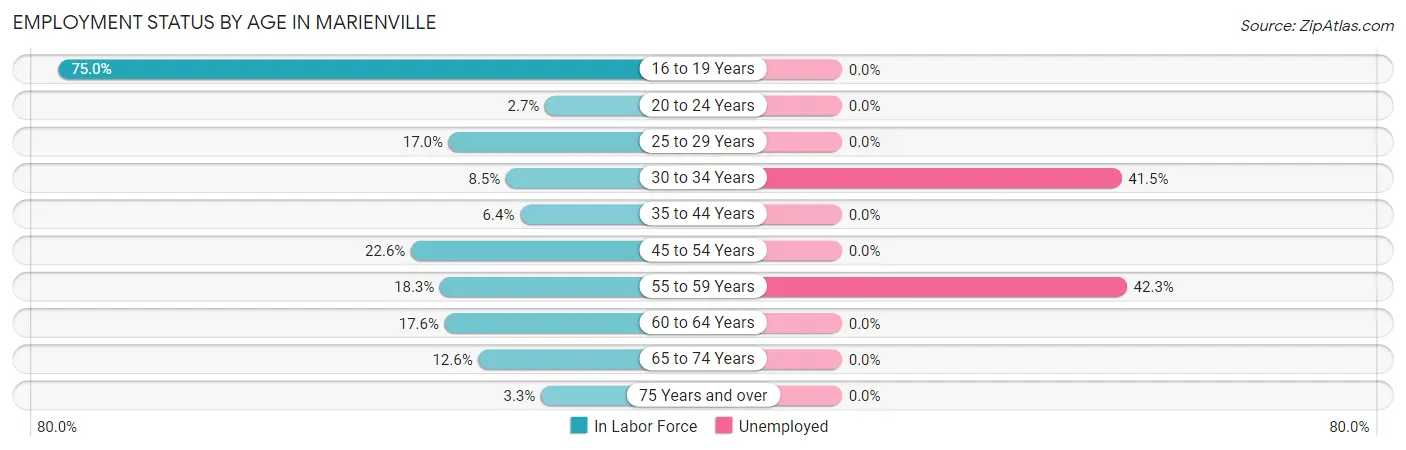 Employment Status by Age in Marienville