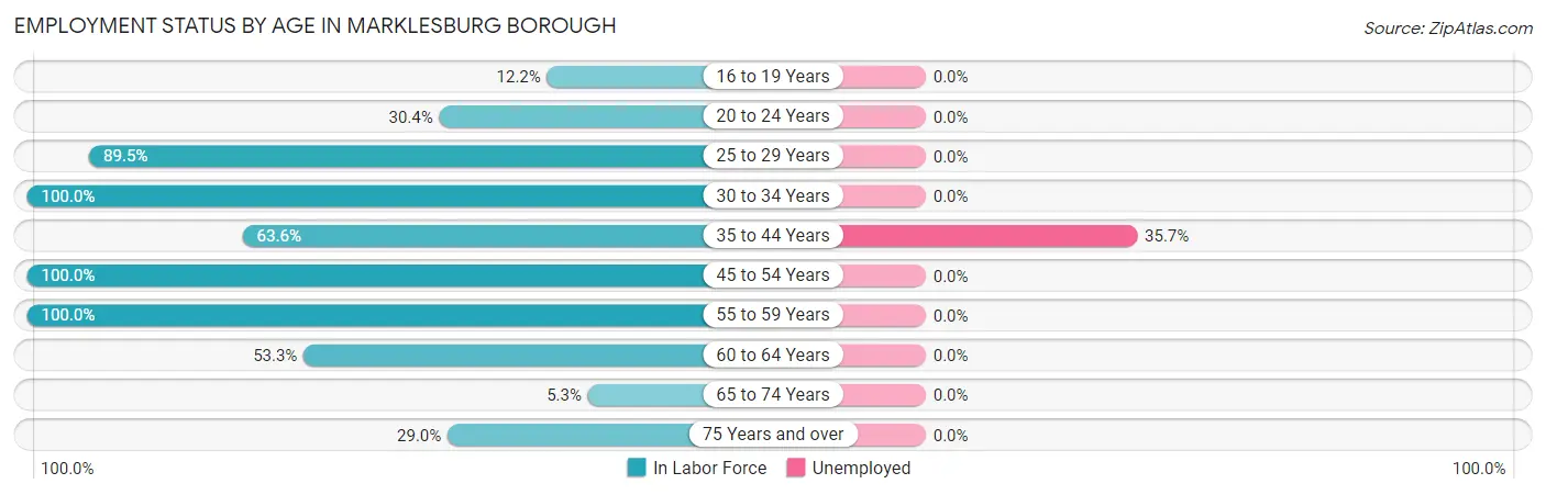 Employment Status by Age in Marklesburg borough