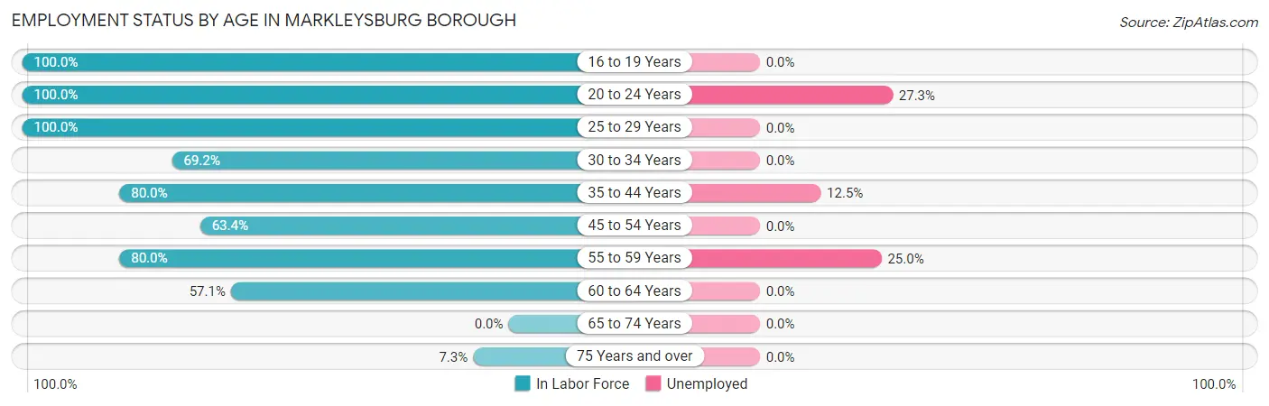 Employment Status by Age in Markleysburg borough
