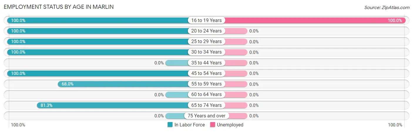 Employment Status by Age in Marlin