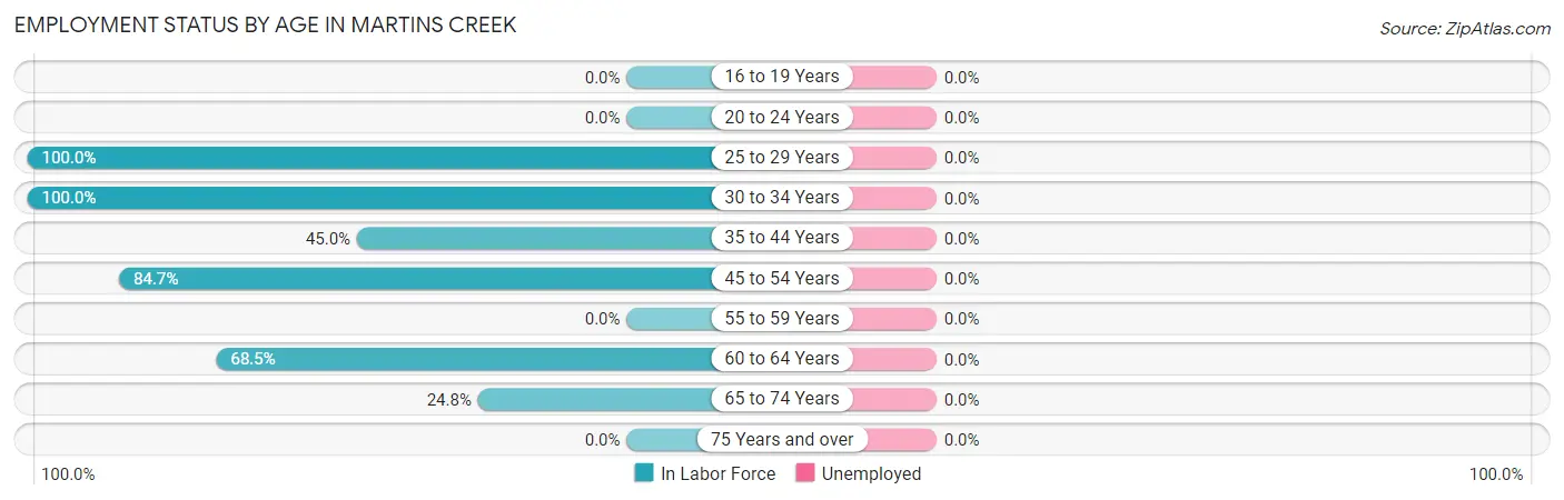 Employment Status by Age in Martins Creek