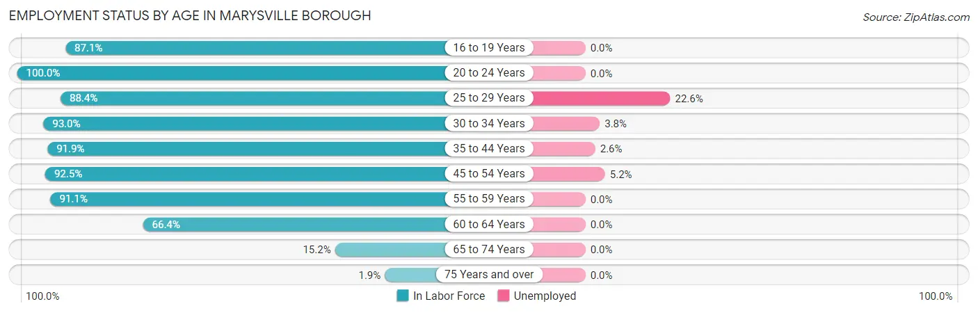 Employment Status by Age in Marysville borough