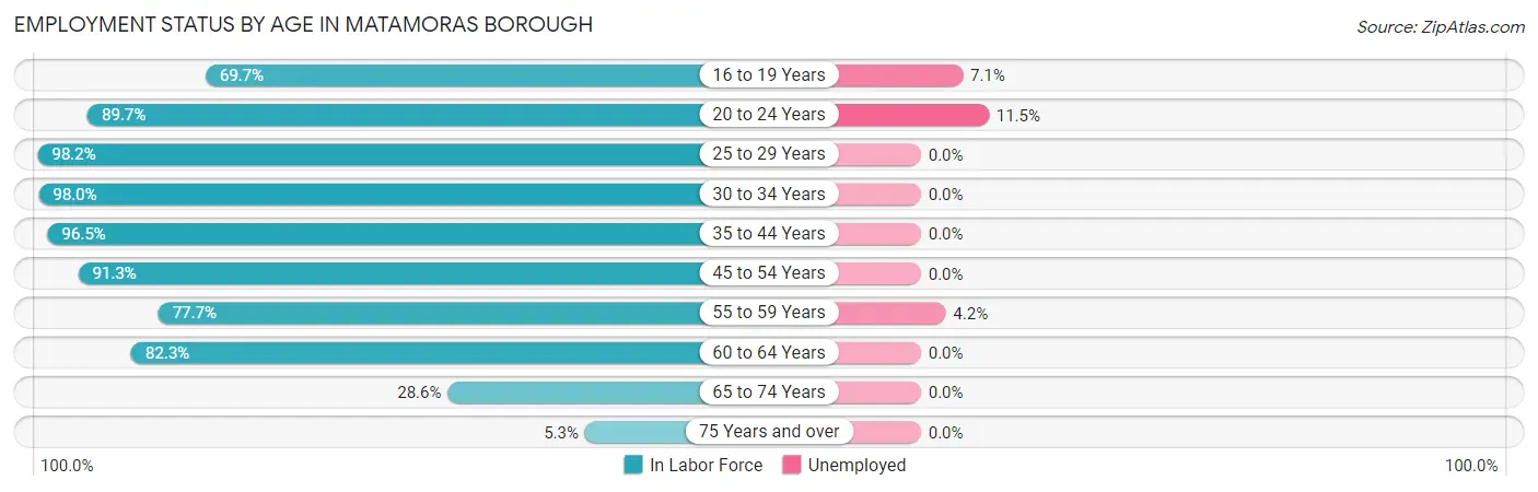 Employment Status by Age in Matamoras borough