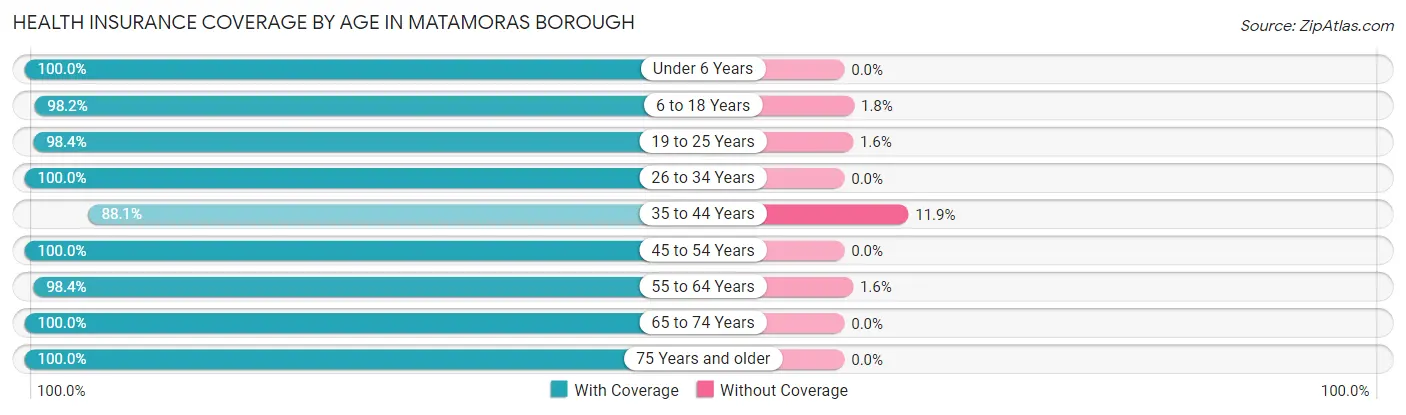 Health Insurance Coverage by Age in Matamoras borough