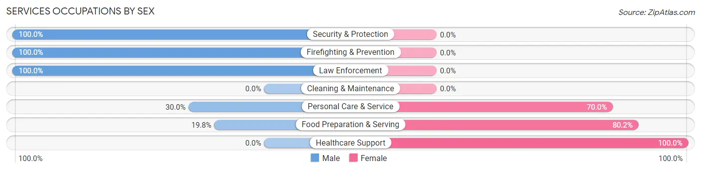 Services Occupations by Sex in Matamoras borough