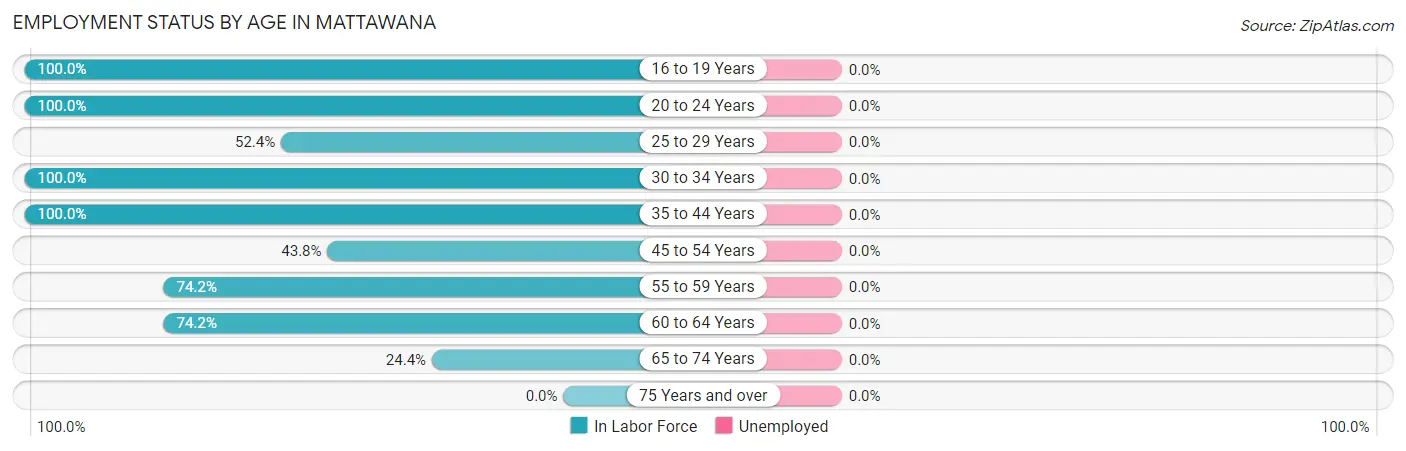 Employment Status by Age in Mattawana